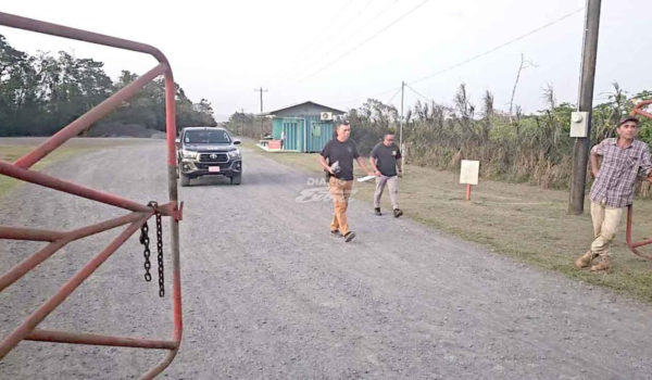 Obrero nicaragüense pierde la vida en accidente laboral en Costa Rica
