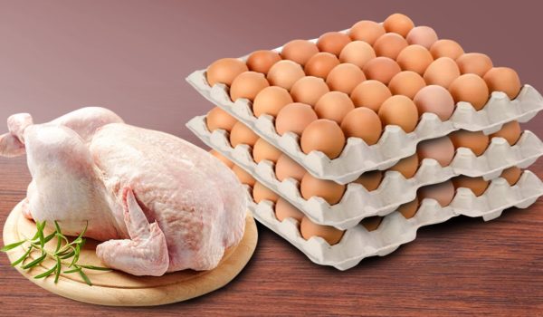 Cómo la carne de pollo y huevo se han vuelto un lujo en el plato de los nicas, golpeando la producción nacional