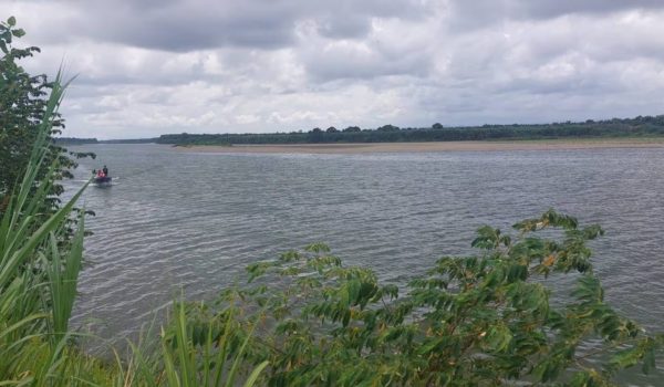 Encuentran cuerpo de nicaragüense atacado por cocodrilo en un río tico