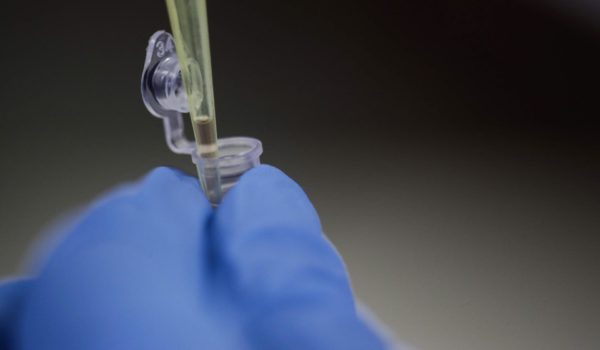 Un nuevo anticuerpo logra bloquear todas las variantes del SARS-CoV-2 en el laboratorio