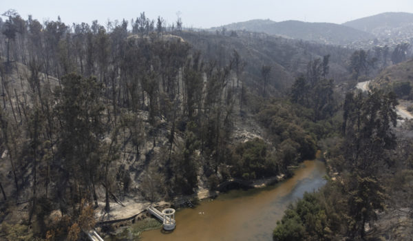 La intencionalidad de los incendios en Chile está «completamente confirmada», dice el gobernador de Valparaíso