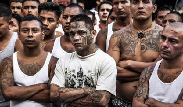 Datos que debe saber sobre las maras salvadoreñas 