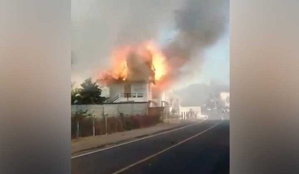 Perrita muere calcinada en incendio de hotel en Las Peñitas