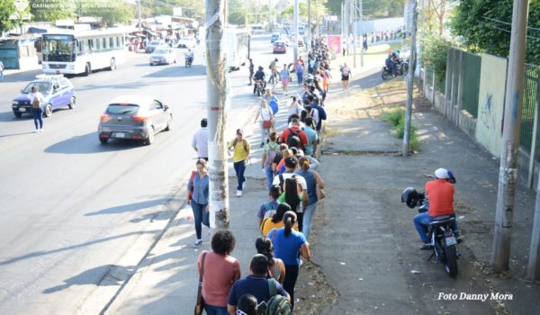 Inseguridad en la Casimiro Sotelo: robos provocan el aumento de policías y cámaras en el recinto