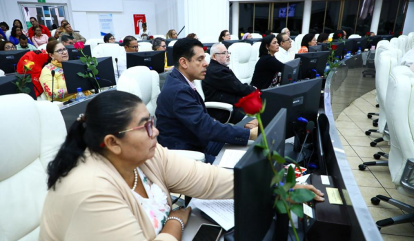 Asamblea Nacional aprueba ley que declara «heroínas a las mujeres que han dado y dan vida a la patria»