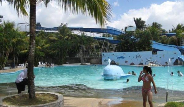 Diez datos sobre Hertylandia, la disputada herencia de Herty Lewites