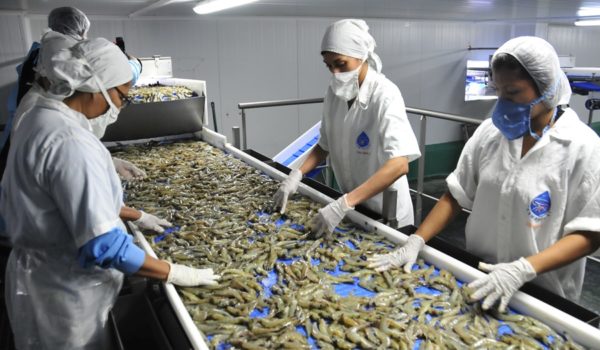 Régimen apura el crecimiento de las actividades económicas tras fuerte frenazo en febrero