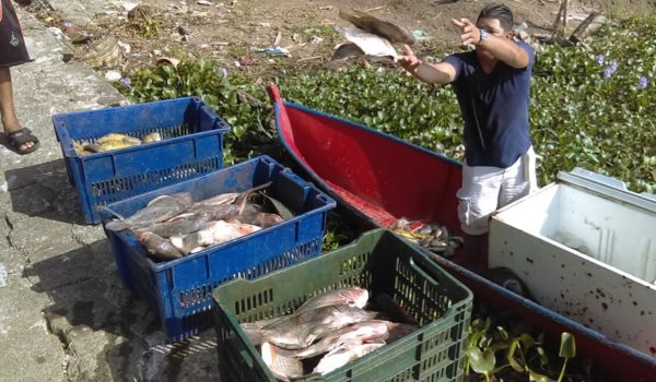 IMAE se enfrió en abril y la acuicultura volvió a  caer por menos cultivo de camarón