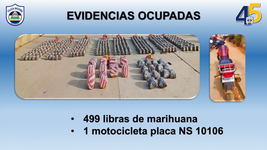 Estos son los óvulos con marihuana que la Policía le incautó a -- LA PRENSA/ Policía. 
