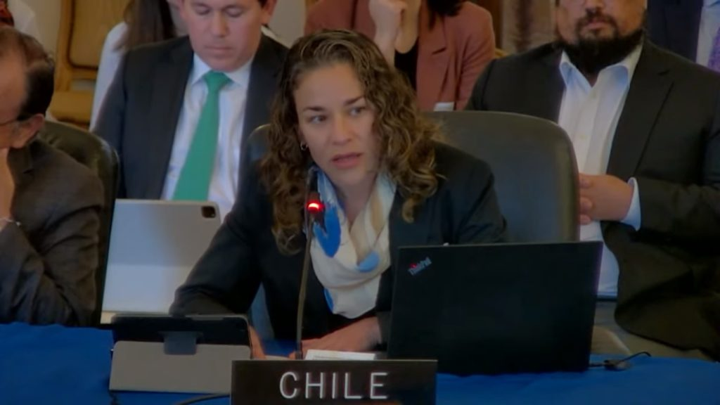 Tamara Dávila frente al Consejo Permanente de la OEA, cuando Chile le cedió su lugar para hablar. LA PRENSA/Captura de video