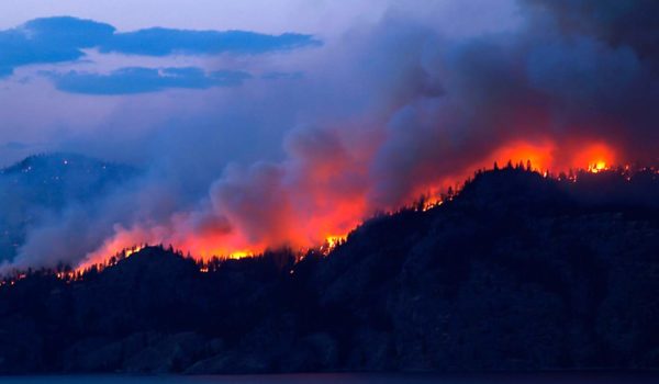 Sinapred registra daños en 270 manzanas por incendios