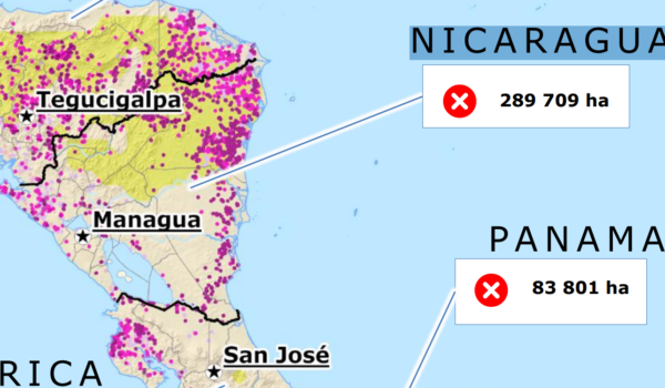 Incendios forestales afectan a toda Centroamérica, advierte DG ECHO