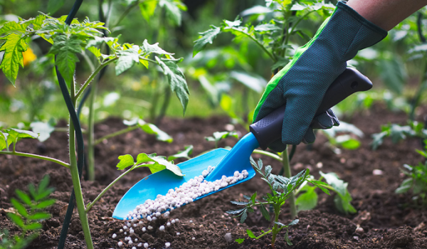 fertilizantes y otros insumos agrícolas