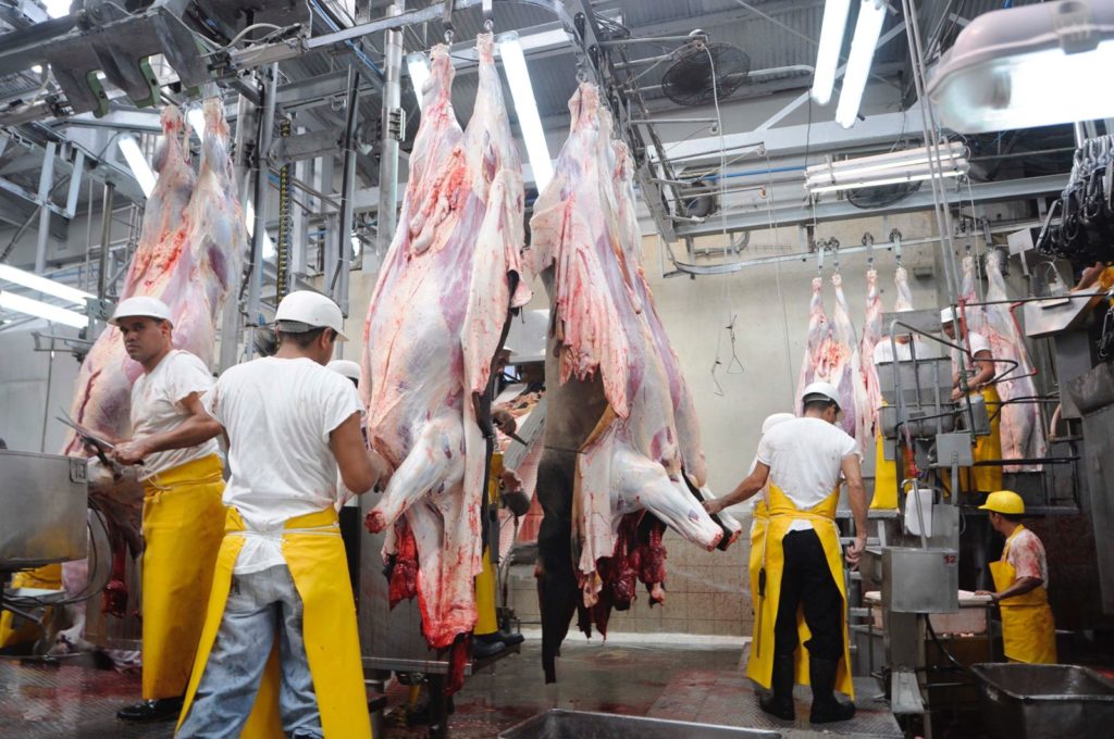 En los últimos diez años las exportaciones de carne casi se duplican, ellas sustentan las exportaciones de la ganadería de Nicaragua.