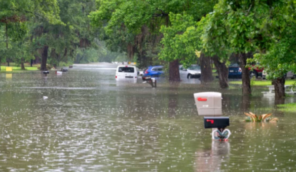 Comida, refugios y ayuda con limpieza. ¿Dónde puede encontrar ayuda en Texas por las inundaciones? 