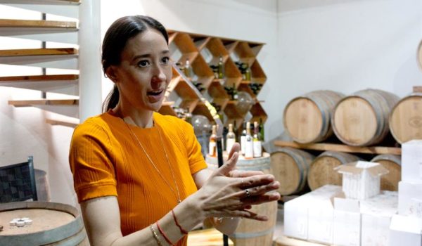 La mexicana Chihuahua expande su emergente industria vitivinícola a través de un clúster