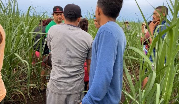 Señora es encontrada asesinada en un cañal en El Viejo