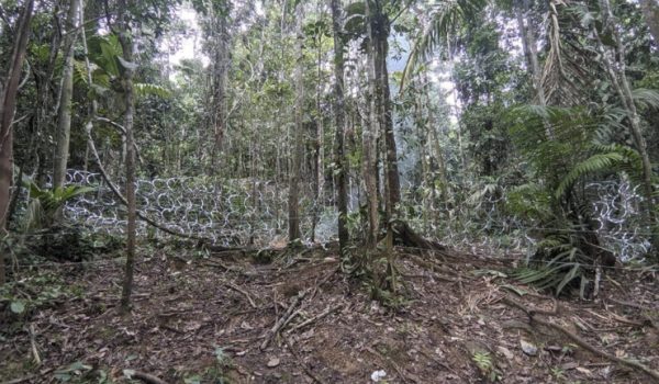 Panamá bloquea casi 5 kilómetros de pasos usados por migrantes en la selva del Darién