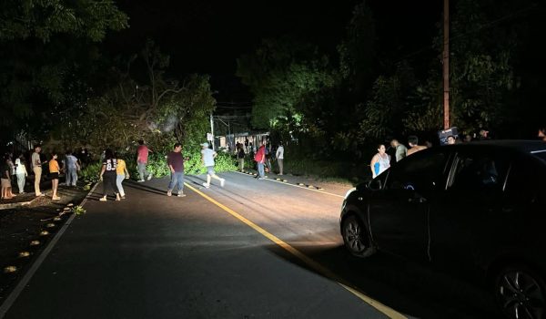 Árbol cae sobre una camioneta y mata a un matrimonio granadino
