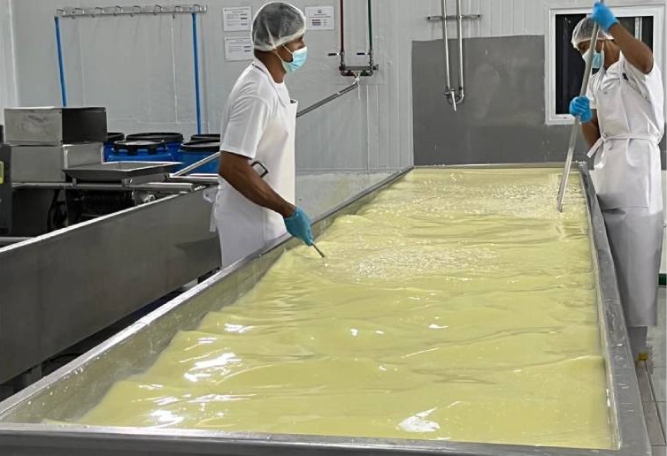 Producción de queso en Nicaragua,
