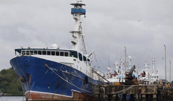 Expertos piden a ente interamericano impulsar gestión más sostenible de la pesca de atún