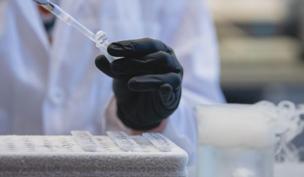 Un fármaco contra el cáncer podría ayudar a tratar el Alzheimer desde las primeras fases