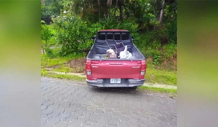 Cruzada a la orilla de la carretera quedó la camioneta que arrolló mortalmente a las dos niña en El Cuá, Jinotega .departamento de Jinotega. LA PRENSA/ Cortesía.
