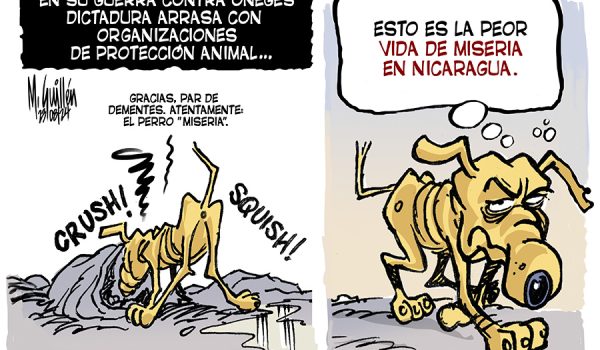 Caricatura 23-08-24