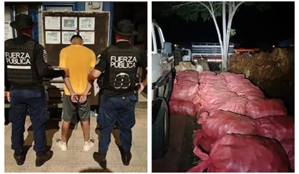 Fuerza Pública de Costa Rica detiene a nicaragüense por contrabando de quequisque