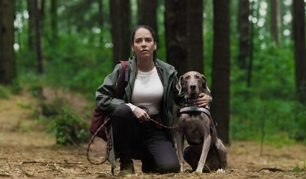 `Accidente´, la serie mexicana que desvela la naturaleza humana ante una tragedia