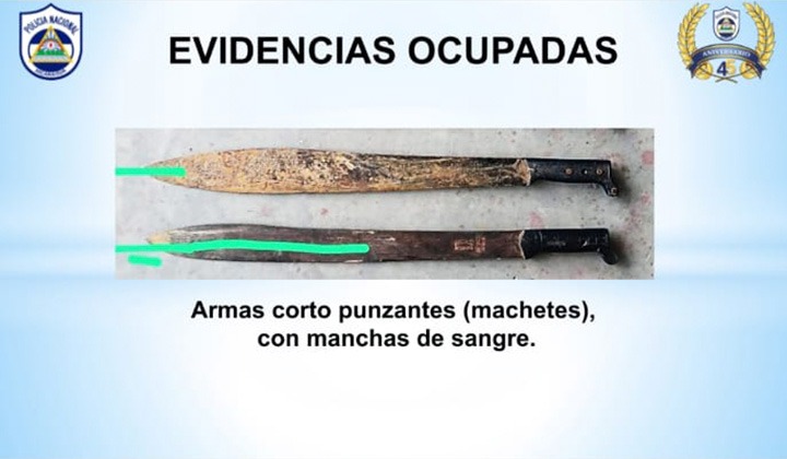 Estos son los machetes con los que asesinaron a madre e hija en una comunidad de Murra, Nueva Segovia. LA PRENSA/Policía