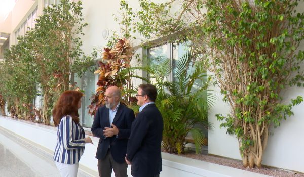 Una nueva terapia mejora la supervivencia de pacientes de linfoma de células del manto