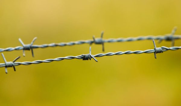 Niña de 8 años fallece al caer sobre alambre de púas en Telica