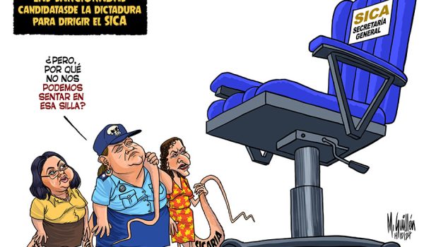 Caricatura 15-10-24