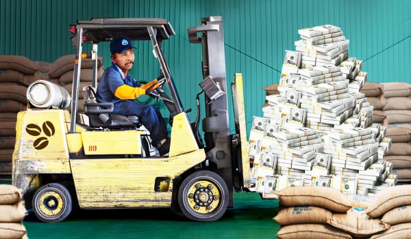 Régimen ordena aporte de 4 dólares por cada quintal de café exportado, pese a crisis del sector