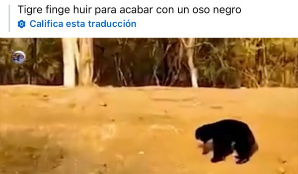 Diócesis de Juigalpa denuncia hackeo de su página de Facebook
