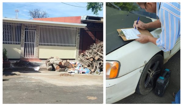 Alcaldía de Managua multa a ciudadano por cortar árbol que estaba afuera de su vivienda