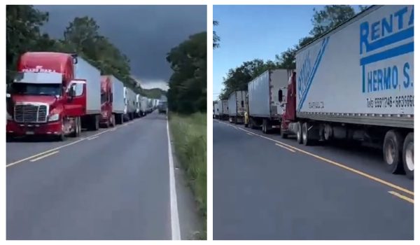 Transportista de carga pesada se queja de «trancones» de hasta 25 kilómetros para cruzar por Peñas Blancas