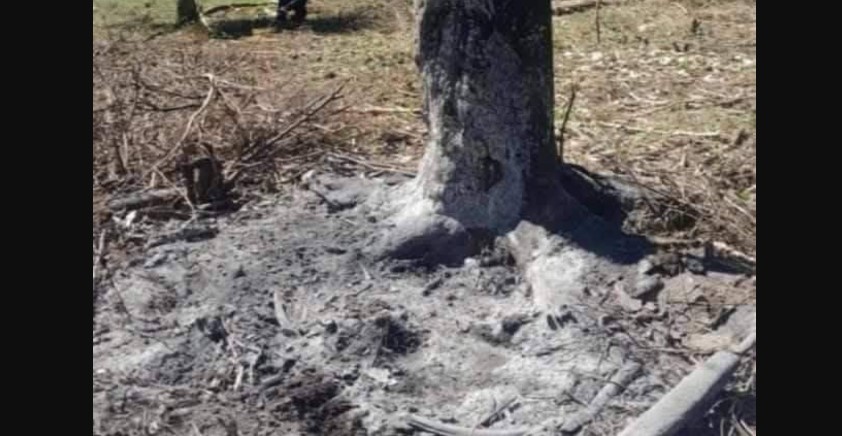 En este lugar habría sido quemada la adolescente. LA PRENSA/Tomado de Facebook