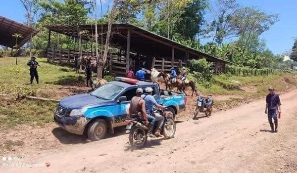 Desconocidos roban 10 mil córdobas y matan a dueño de pulpería en San José de Bocay