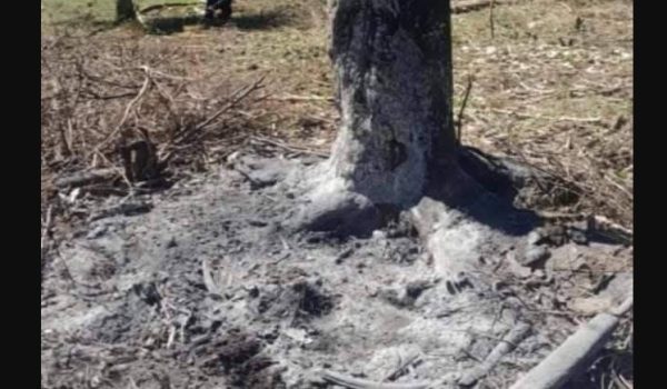 Matan y queman a una adolescente de 14 años en El Viejo, Chinandega
