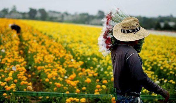 migrantes, Estados Unidos