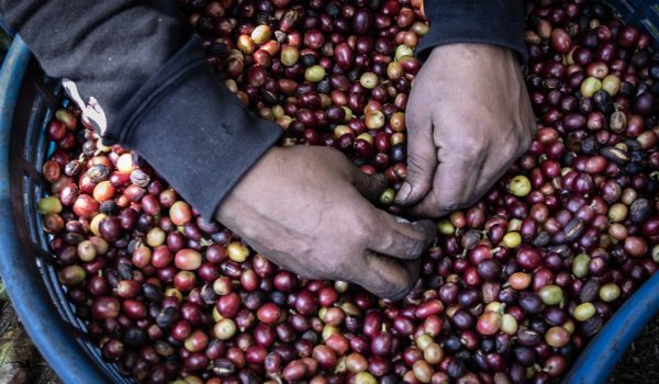 U.S. imposes new tariffs on Nicaragua starting January 2026, but avoids changing DR-Cafta terms