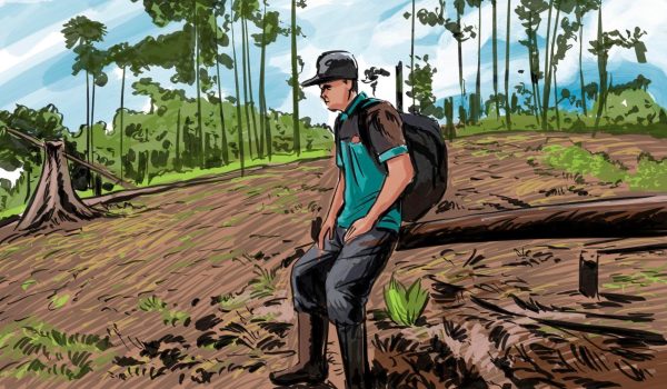 Así han perdido autonomía las comunidades indígenas