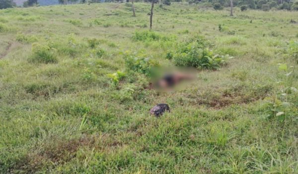 Denuncian el asesinato de otro indígena por parte de colonos