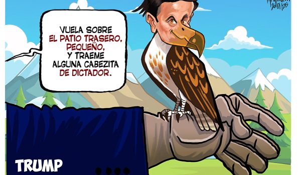 Caricatura 26-01-25