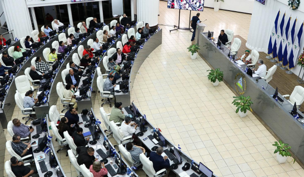 La ilegitimidad de la “nueva Constitución” y la profundización de la usurpación del poder