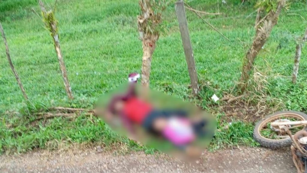 La niña que falelció en el hospital fue encontrado sobre el cadáver de su mamá. LA PRENSA/ Foto del diario La Nacion .