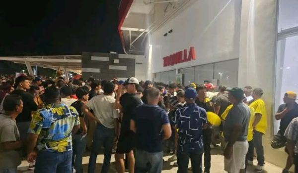 Fanáticos de los Leones no durmieron para poder adquirir sus boletos para el séptimo juego