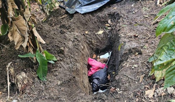 Ganadero y su hijo de 14 años fueron estrangulados por sicarios, revela dictamen forense